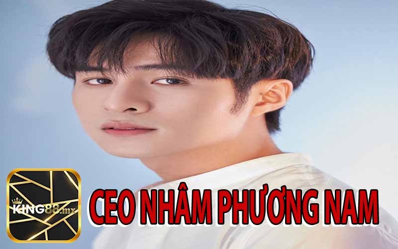 CEO Nhâm Phương Nam