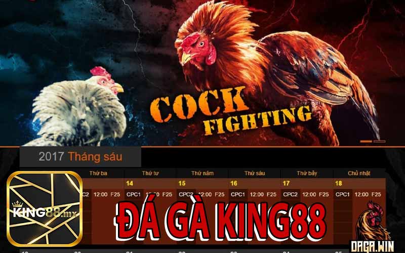 Đá Gà King88